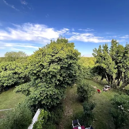 Le Presbytere De La Couture 게스트하우스 *